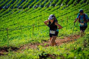 BIB: 340
                            <button type="button" onclick="openModal(19162053)" class="btn btn-primary btn-sm float-right btn-popup" data-toggle="modal" data-target=".modal-high-quality">
                        <i class="fas fa-shopping-cart"></i> Add to Cart
                    </button>
                                            <button type="button" onclick="isThisMe(19162053, true)" class="btn btn-success btn-sm float-right btn-popup btn-isme hidden" data-toggle="tooltip" data-placement="bottom" title="นี่คือรูปของคุณใช่ไหม คลิกที่นี่เพื่อเอาเข้าอัลบั้ม">
                        <i class="fas fa-plus"></i> Add to album
                    </button>
                    <button type="button" onclick="isThisMe(19162053, false)" class="btn btn-warning btn-sm float-right btn-popup btn-isnotme hidden">
                        <i class="fas fa-ban"></i> Remove from album
                    </button>